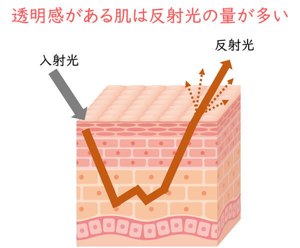 40代以上ツヤ肌ベースの作り方 基本ステップ 40代 50代 60代専門 横浜のメイクレッスンで華やか上品に 美キャリアラボ